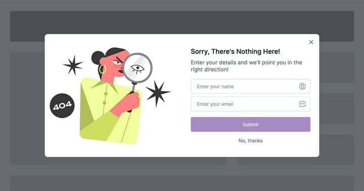 404 Page Opt-In Form