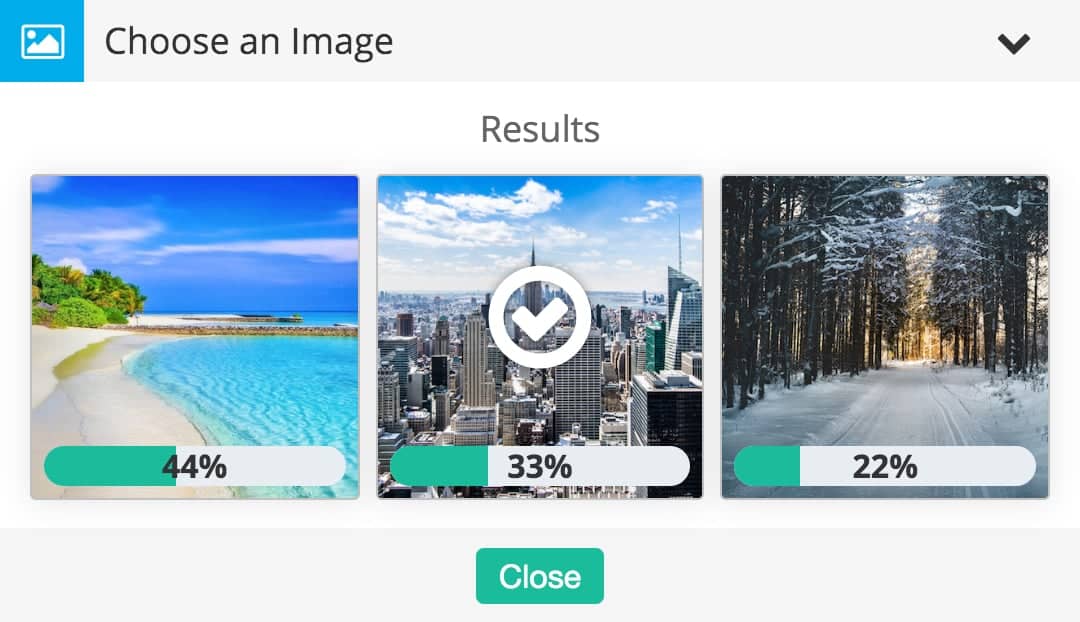 Poll of images displayed publicly for Choose an Image action