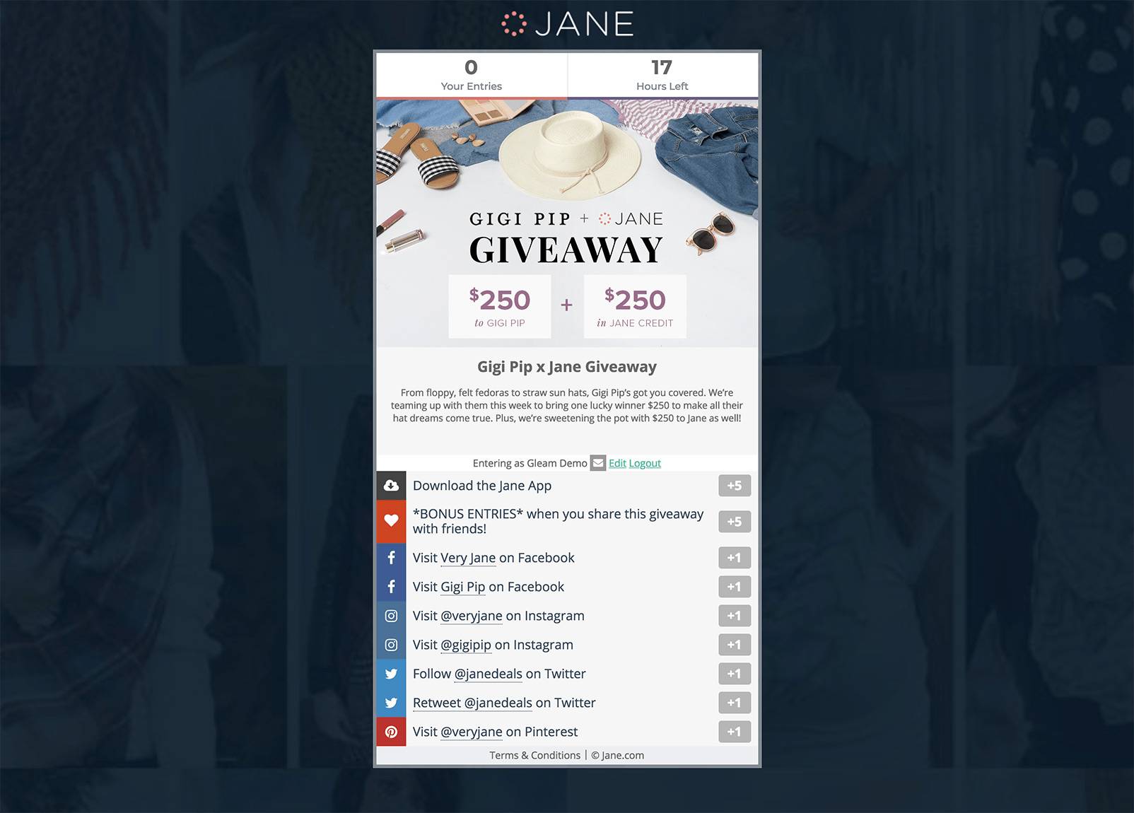Jane.com's Gleam campaign on a hosted landing page