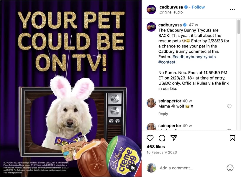 The Cadbury Bunny Tryouts Pet Photo Contest on Instagram